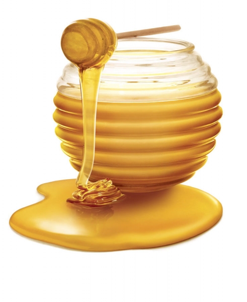 Photograph Jason Bonello Honey on One Eyeland